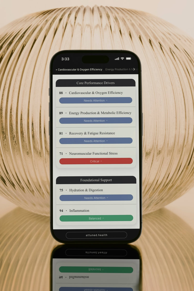 What the Numbers Mean
