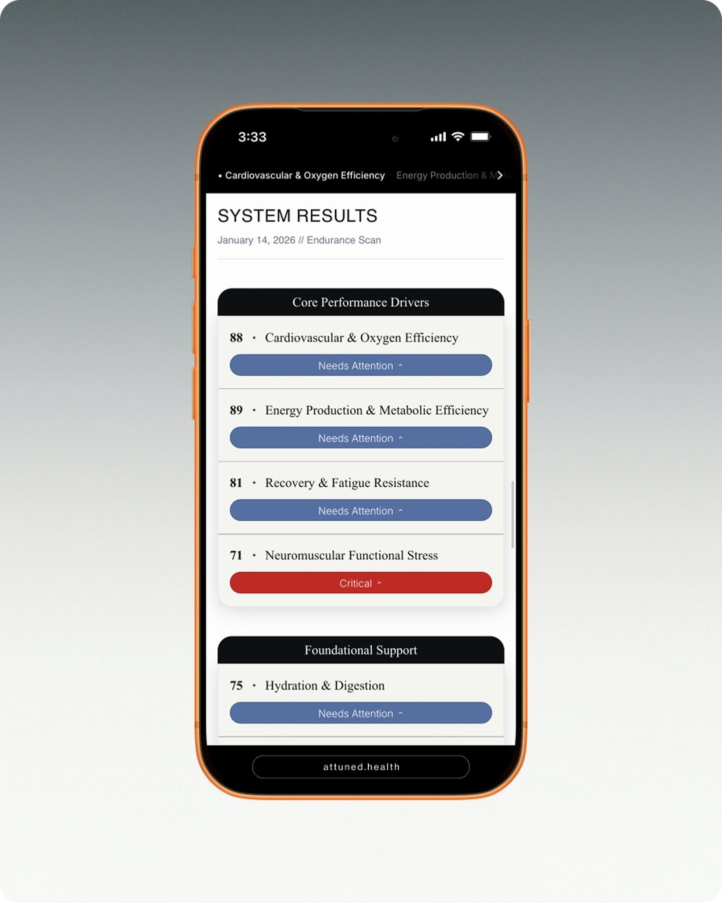 The Endurance Scan - Attuned