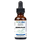 BORR Plus